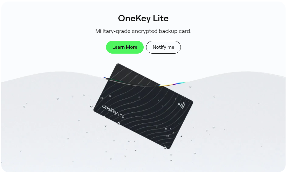 OneKey Lite — Encrypted backup card